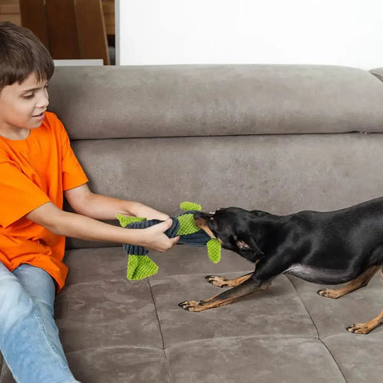 Chew toy that helps clean teeth while dogs play