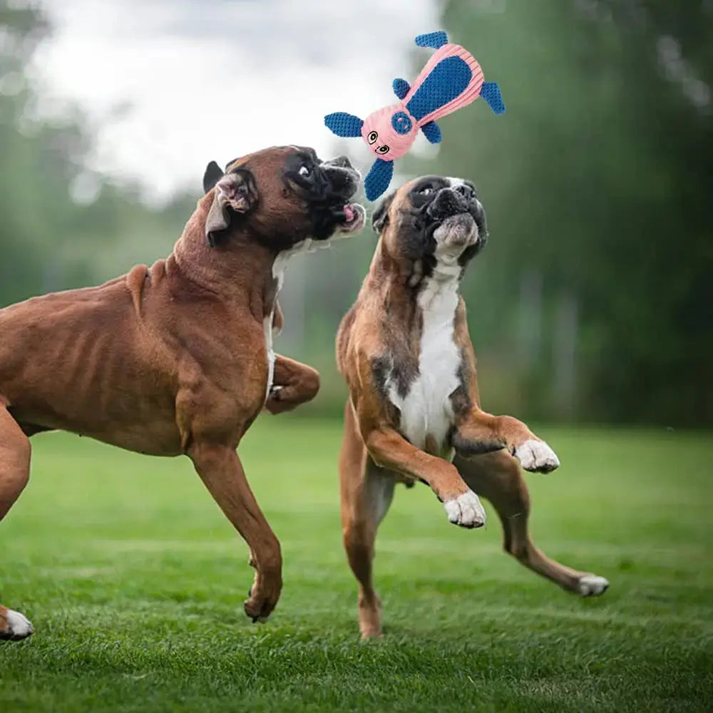 Squeaky chew toy for smart, curious pups