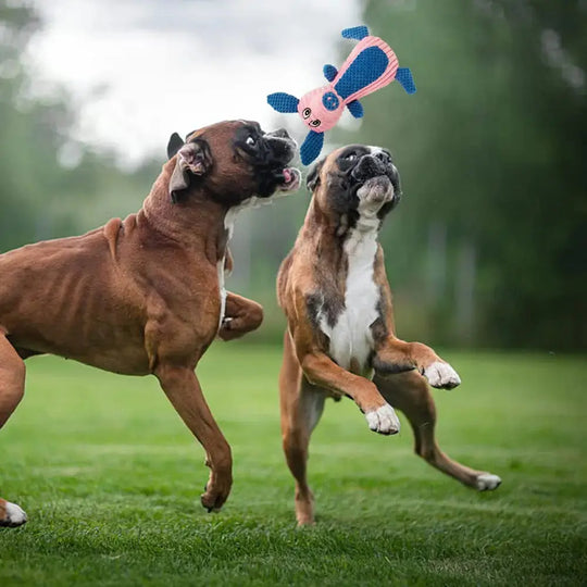 Squeaky chew toy for smart, curious pups