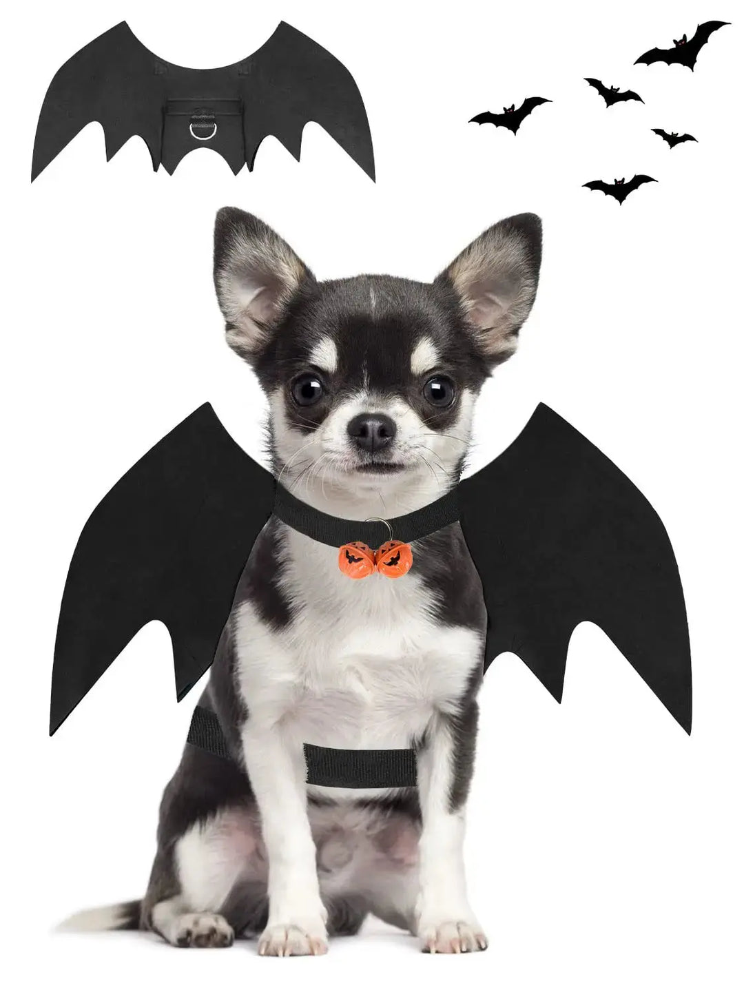 best Halloween bat wings costume for small dogs