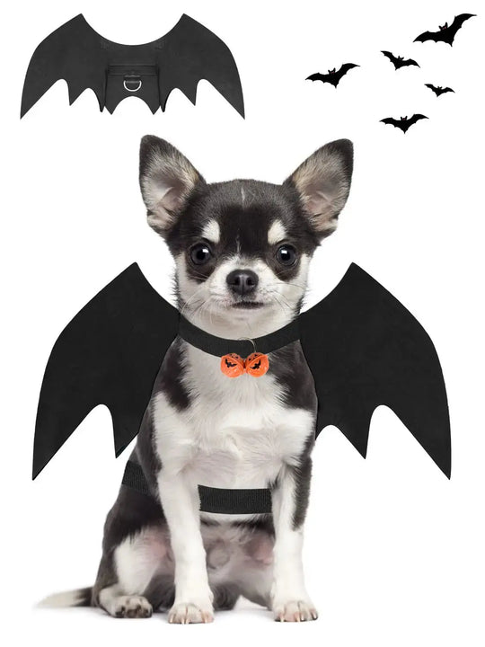 best Halloween bat wings costume for small dogs