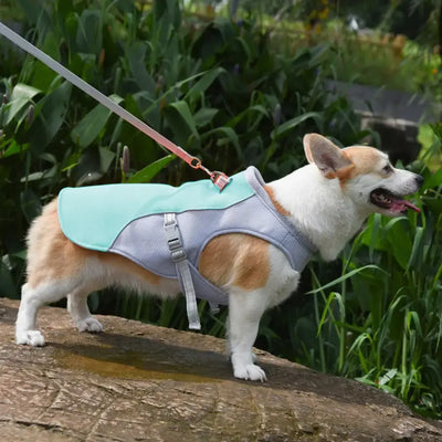 Summer Dog Cooling Vest