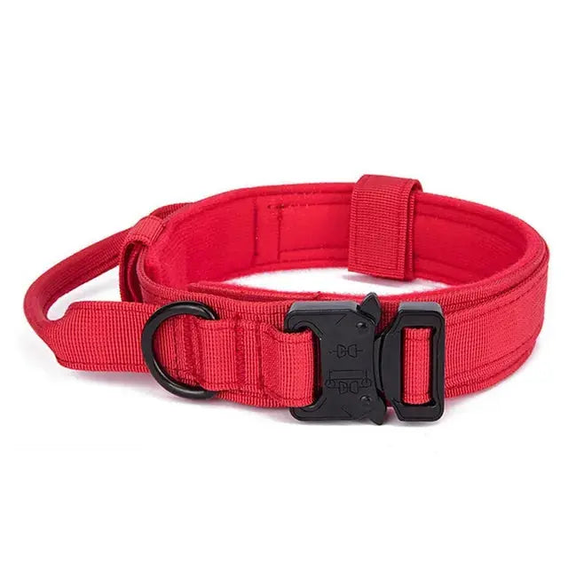  Training collar with adjustable fit