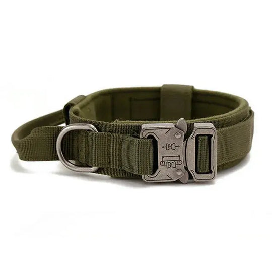 Best tactical dog collar for pulling control
