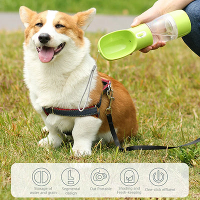 Gravity-fed water bowl 