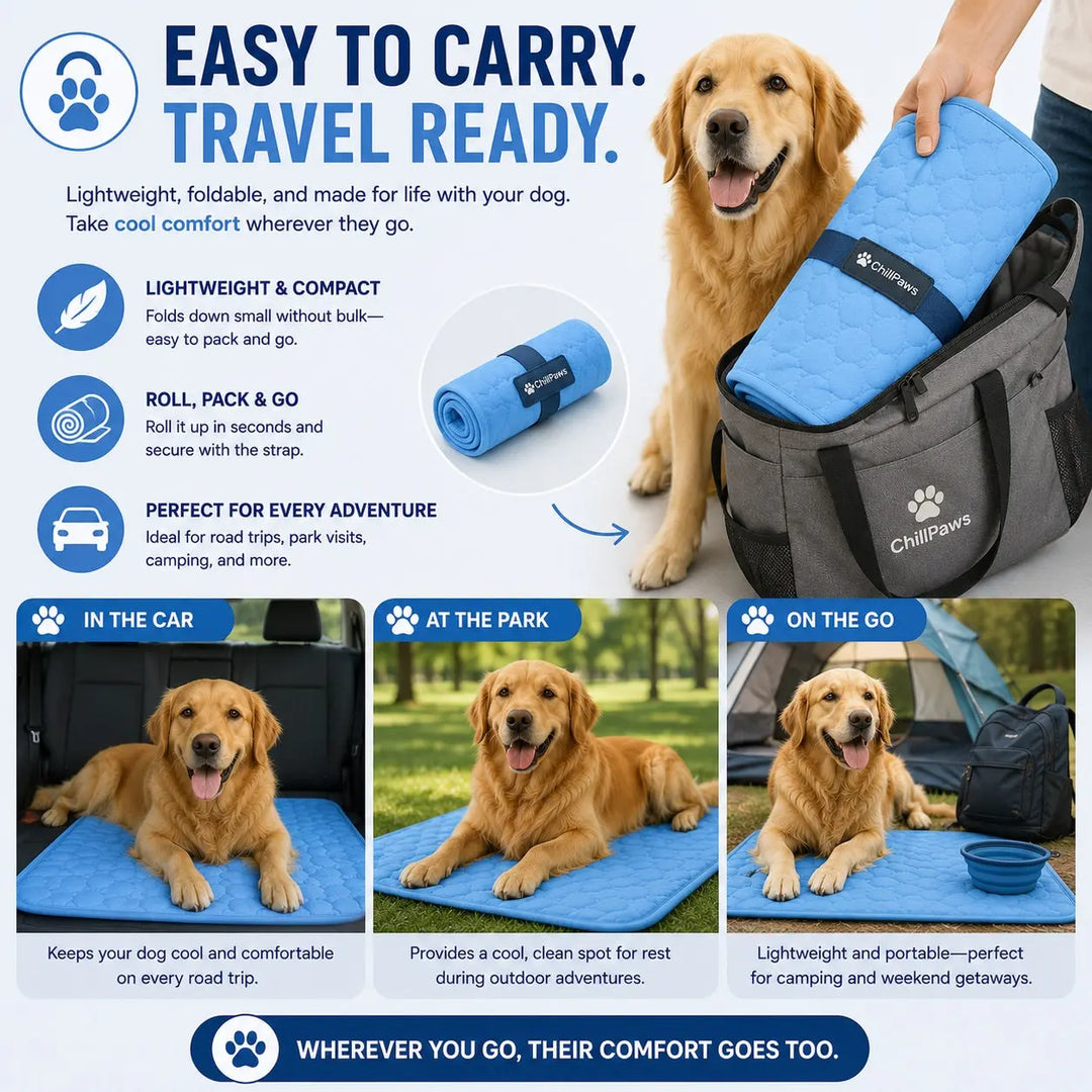 ChillPaws Cooling Mat