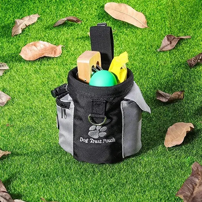 Treat pouch with zip pocket and dispenser

