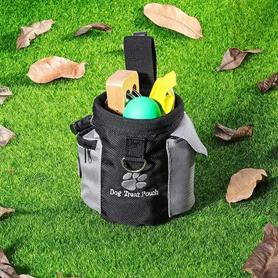 Treat pouch with zip pocket and dispenser

