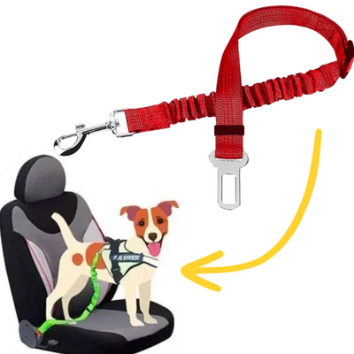 Pet Seat Belt Leash