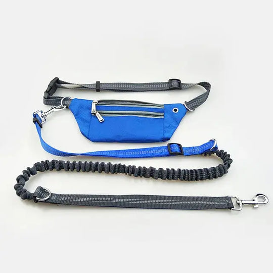 Dog running belt with stretch leash