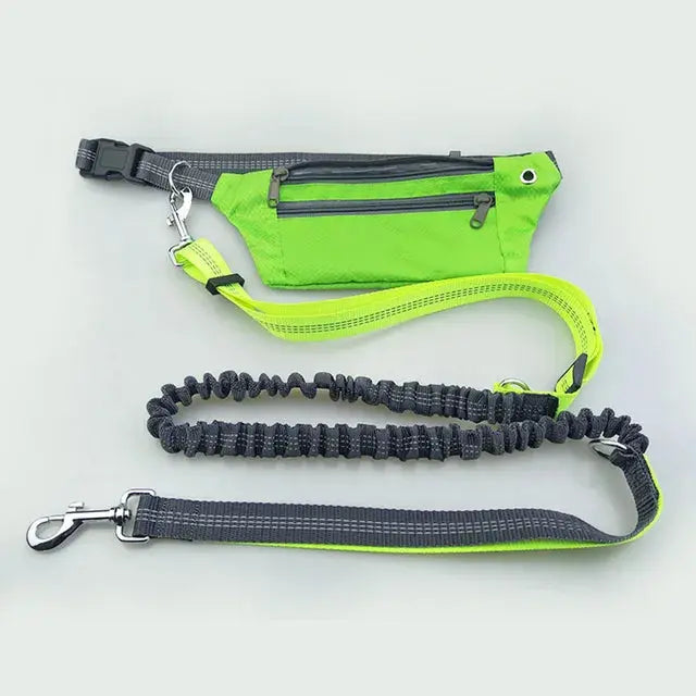 Shock-absorbing dog leash with waist support