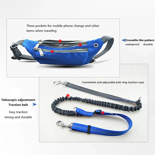 Waist-attached leash for dogs