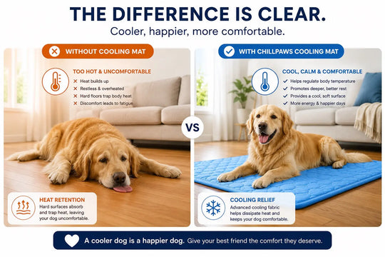 ChillPaws Cooling Mat