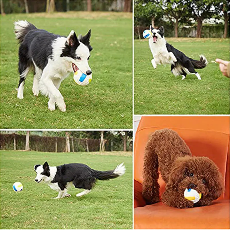 Dog toy ball with built-in squeaker for excitement