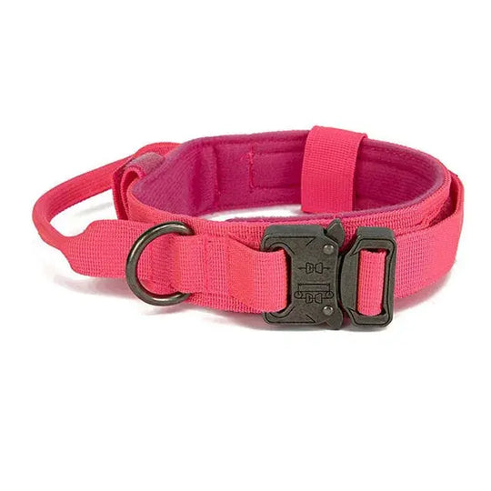 Tactical dog gear collar for active and sporty dogs