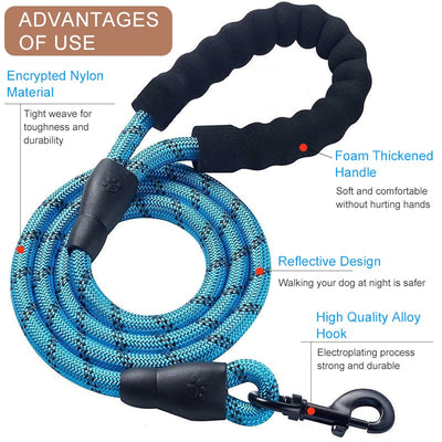 Premium reflective leash attached to a collar on a walking dog

