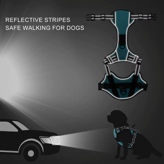 most comfortable harness for dogs
top rated harness for dogs
personalized harness for dog
comfort harness for dogs
best harness for dogs
personalized velcro patches for dog harness
best dog harness
best dog harness for walking