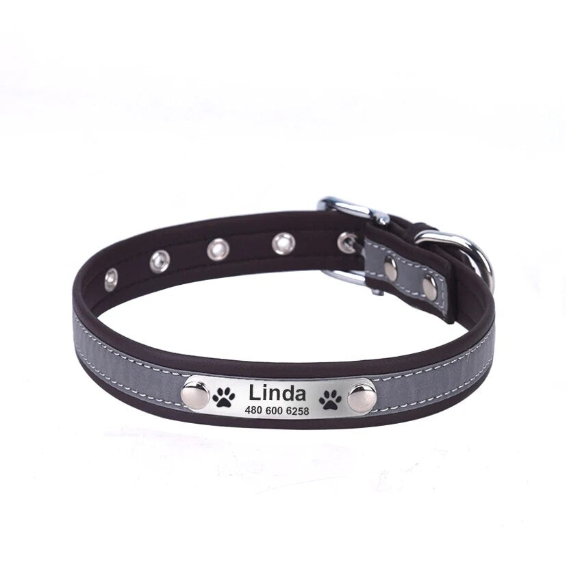 Custom dog collar with name and phone number

