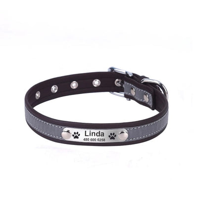 Custom dog collar with name and phone number

