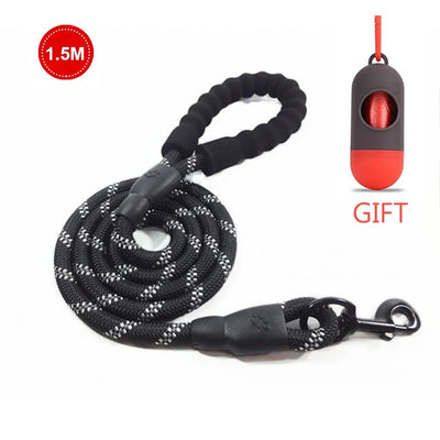 High-quality premium reflective leash for enhanced pet safety

