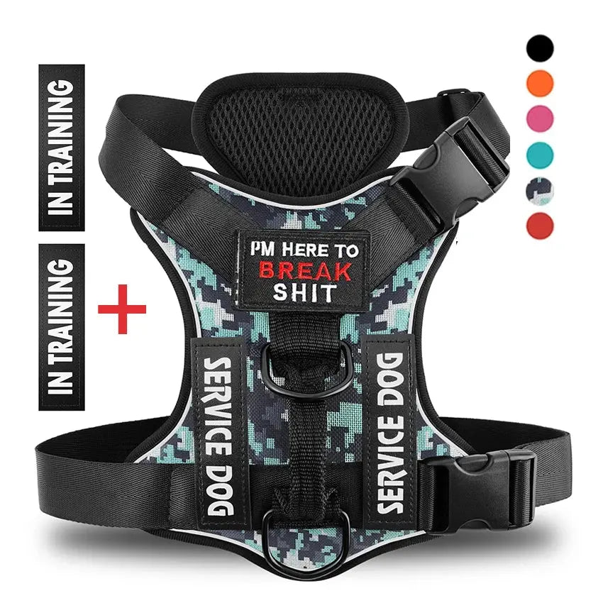 TacticalTailor dog harness with MOLLE webbing

