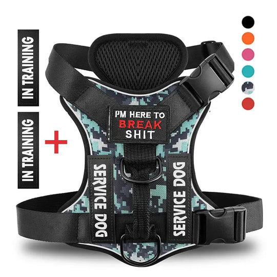 TacticalTailor dog harness with MOLLE webbing

