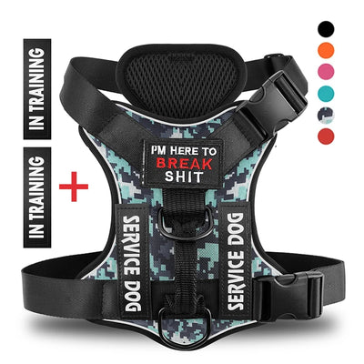 TacticalTailor dog harness with MOLLE webbing

