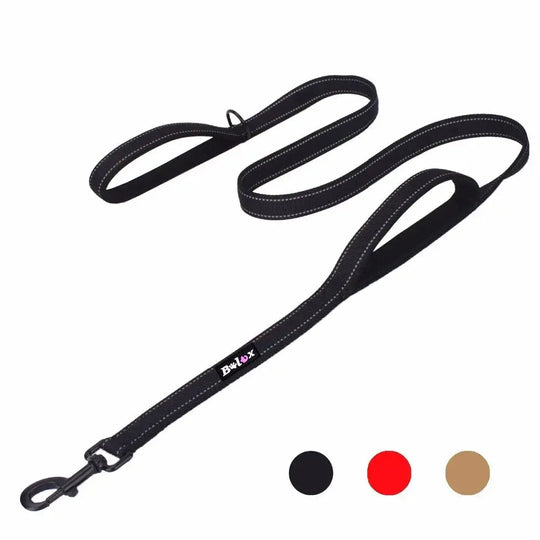 Heavy duty leash with quick-access handle for emergency control.

