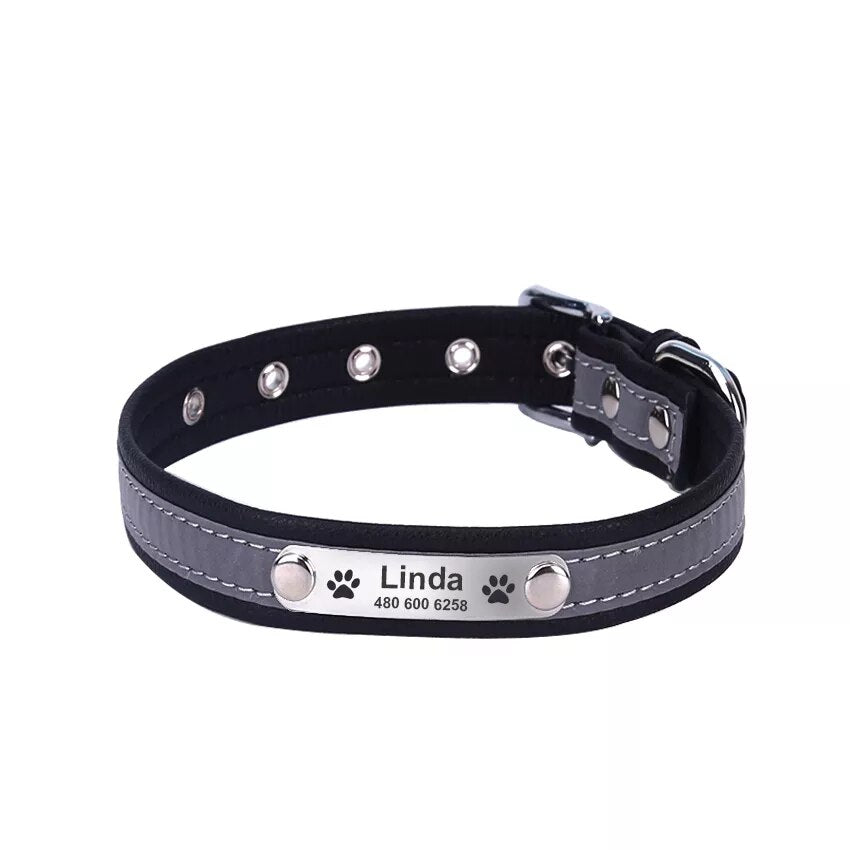 Brown leather dog collar with nameplate

