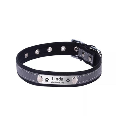 Brown leather dog collar with nameplate

