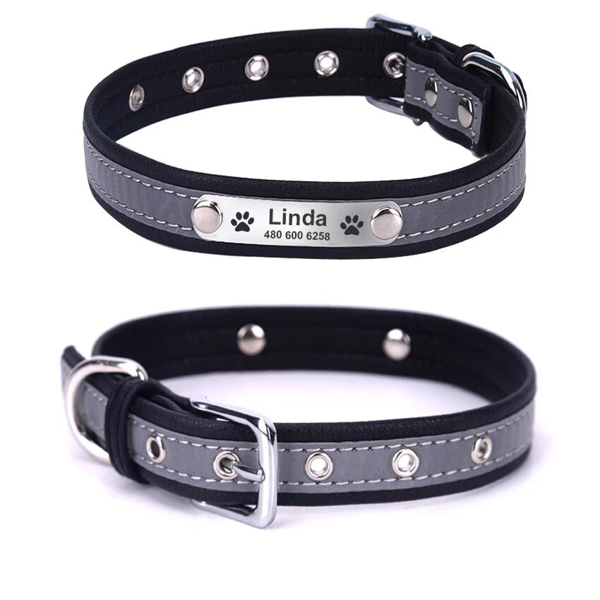 Reflective leather dog collar customized with pet’s name and contact info.


