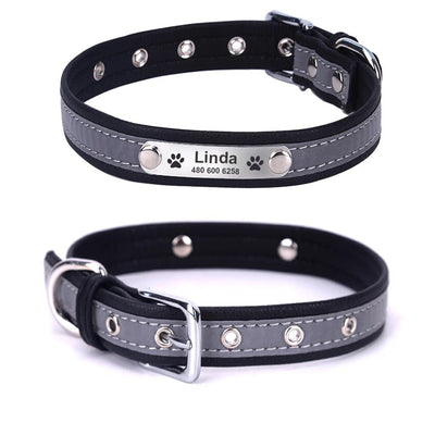 Reflective leather dog collar customized with pet’s name and contact info.

