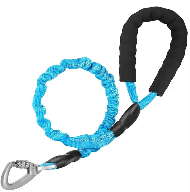 Glow-in-the-dark leash for active evening walks