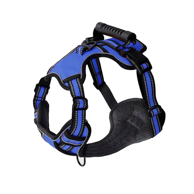 GlowGuard no-pull harness with quick-release buckles

