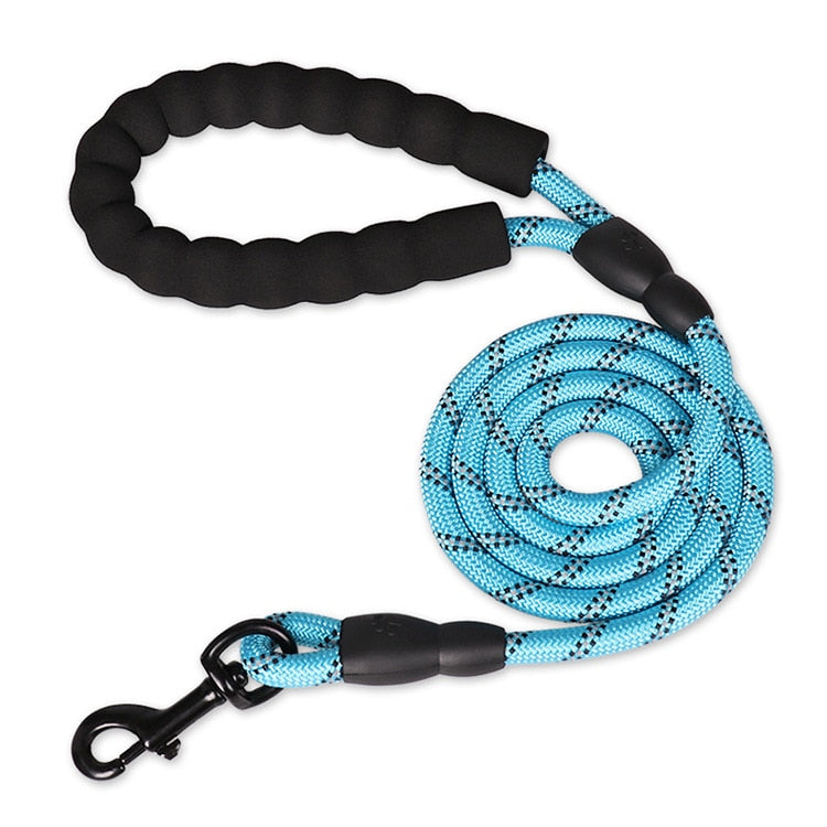 Outdoor scene with a dog on a premium reflective leash during dusk

