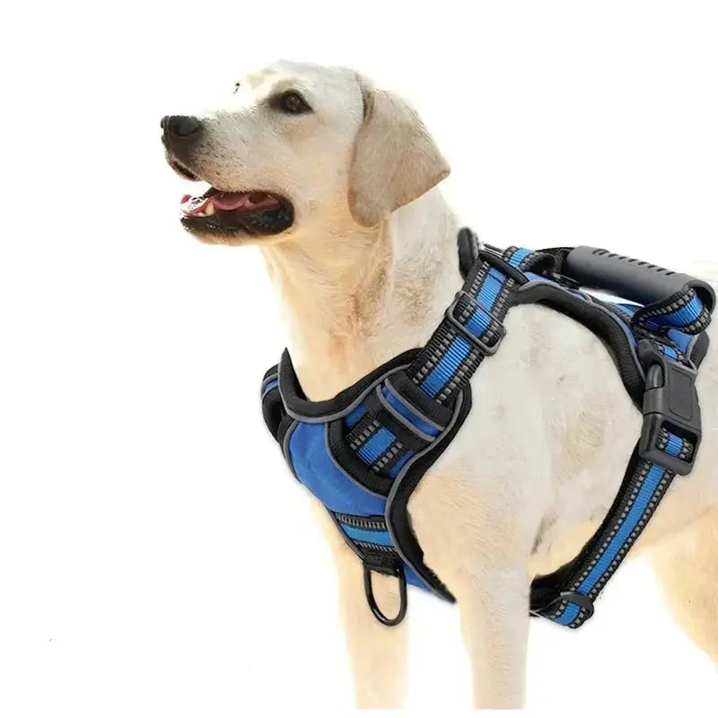 GlowGuard reflective dog harness with padded straps

