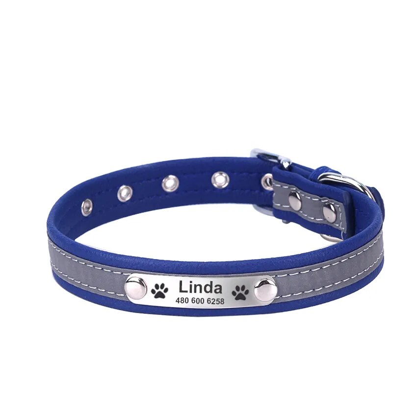 Personalized collar on a golden retriever 

