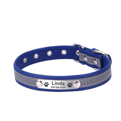 Personalized collar on a golden retriever 

