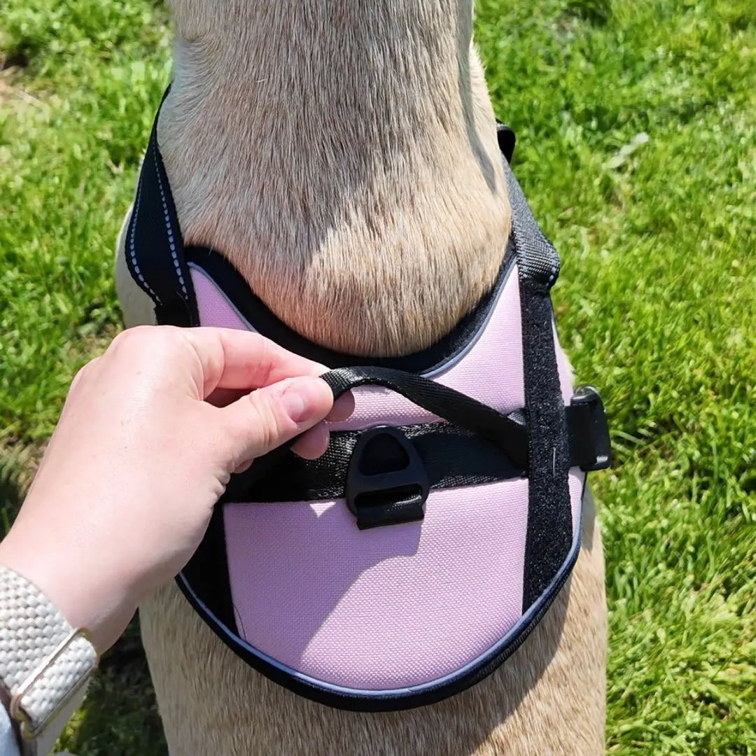 comfort harness for dogs
best harness for dogs
personalized velcro patches for dog harness
best dog harness
best dog harness for walking