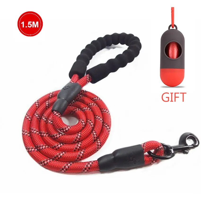 Close-up of reflective threads on a premium leash for pets

