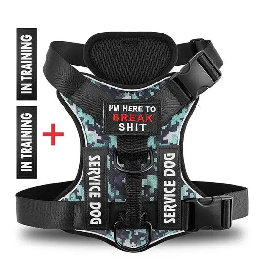 Tactical-style dog harness designed for control and safety

