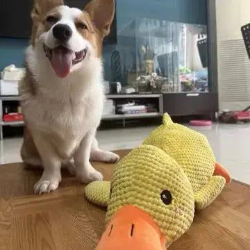 Calming Duck Toy