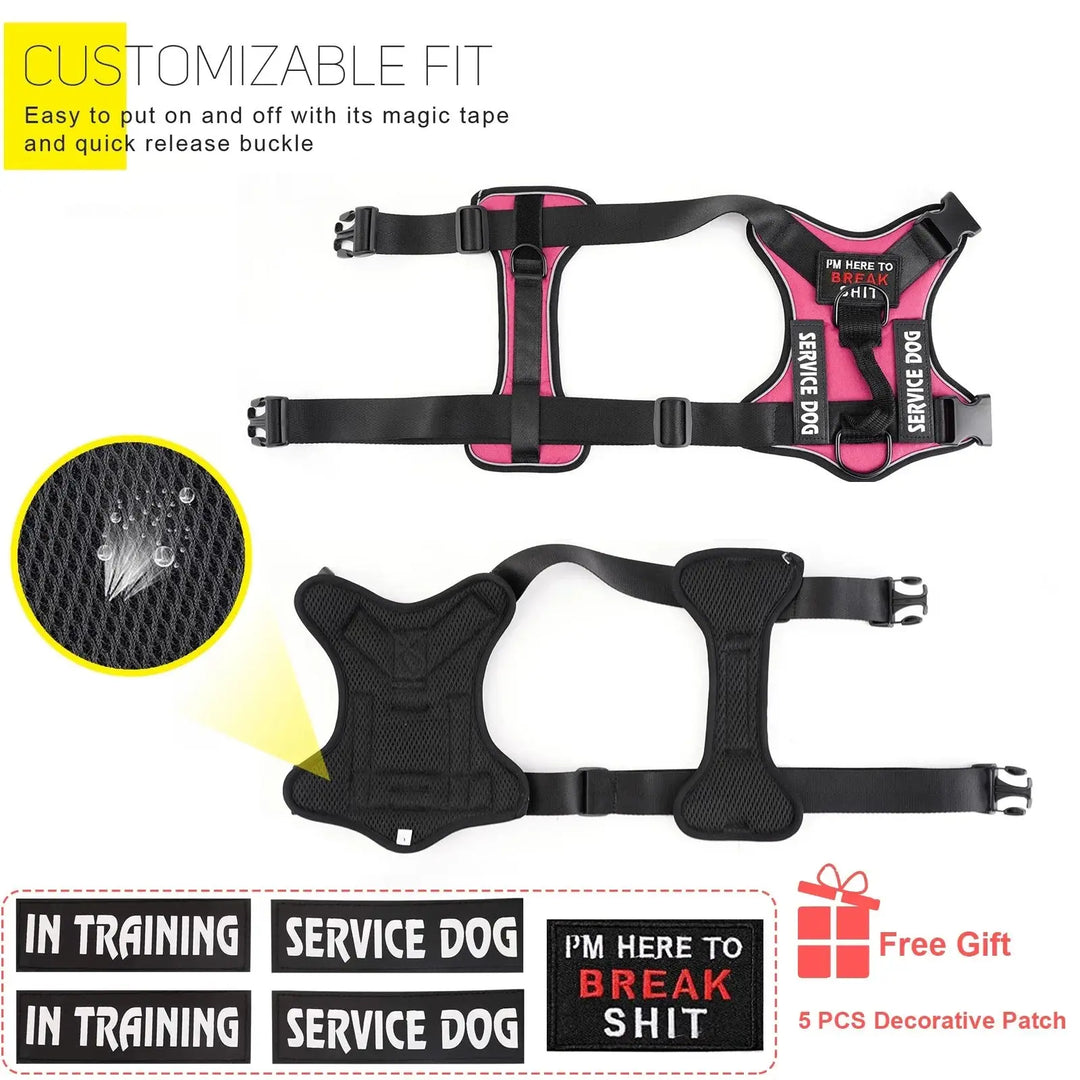 Dog wearing a rugged TacticalTailor harness outdoors

