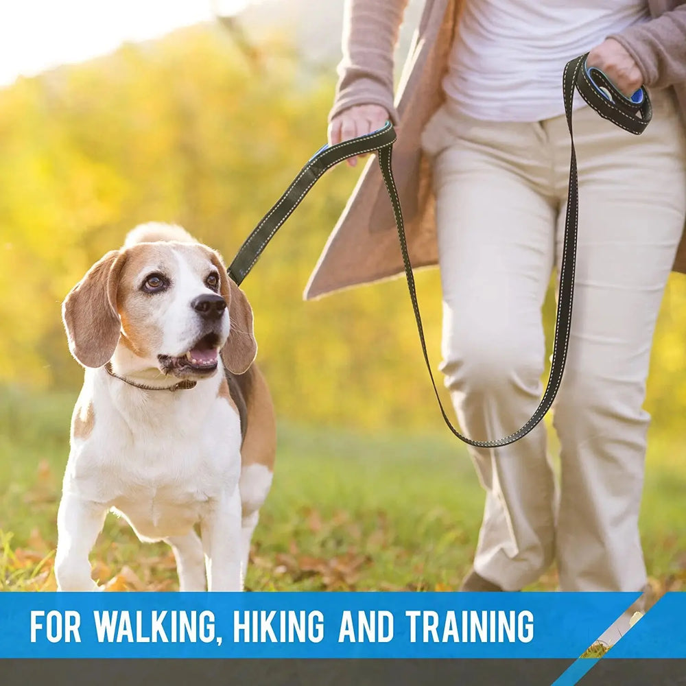 Strong double handle leash designed for large and active dogs.

