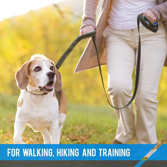 Strong double handle leash designed for large and active dogs.

