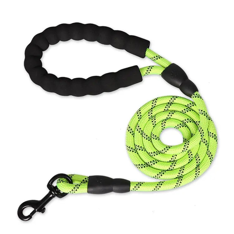Stylish premium reflective leash with strong metal clasp

