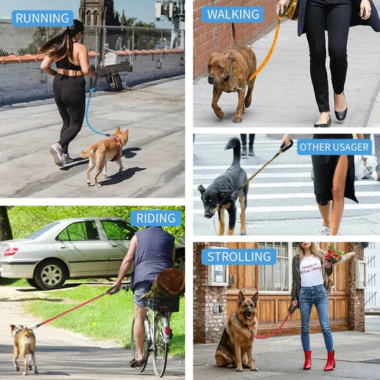 GlowFlex Dog Leash Anodic Products