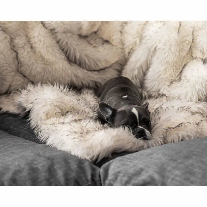 CozyPaws Luxe Pet Blanket