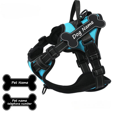 Personalized Canine Comfort Harness