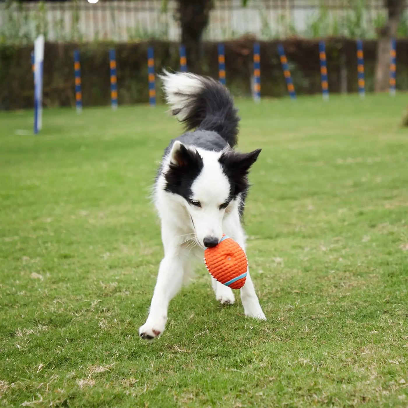 Durable Squeaky Dog Toy Ball